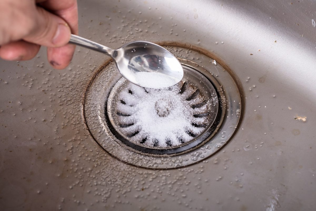 What To Pour Down Drain To Kill Gnats